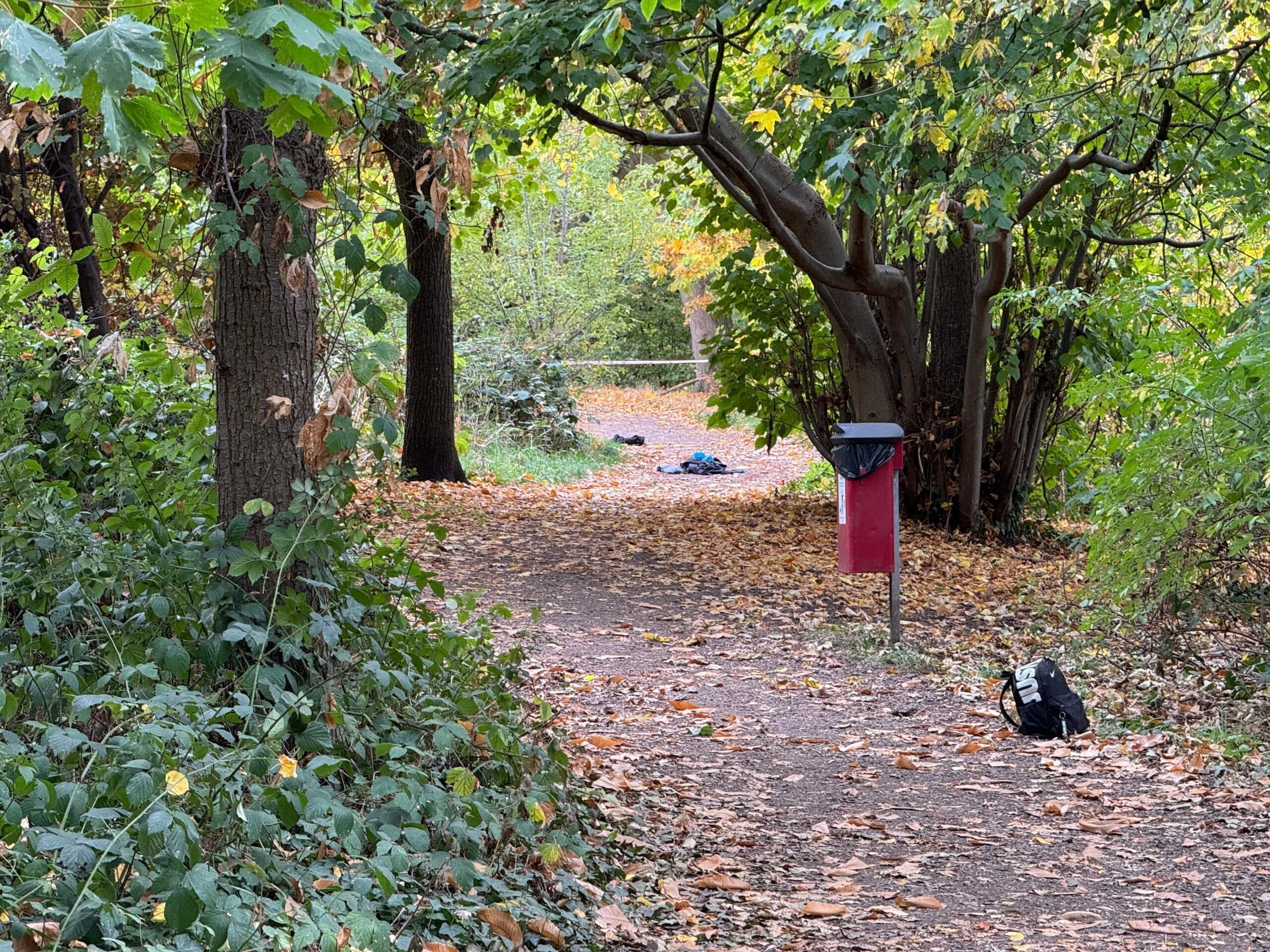Catford Stab Shock: One Dead, One Critical After Two Early Morning Attacks