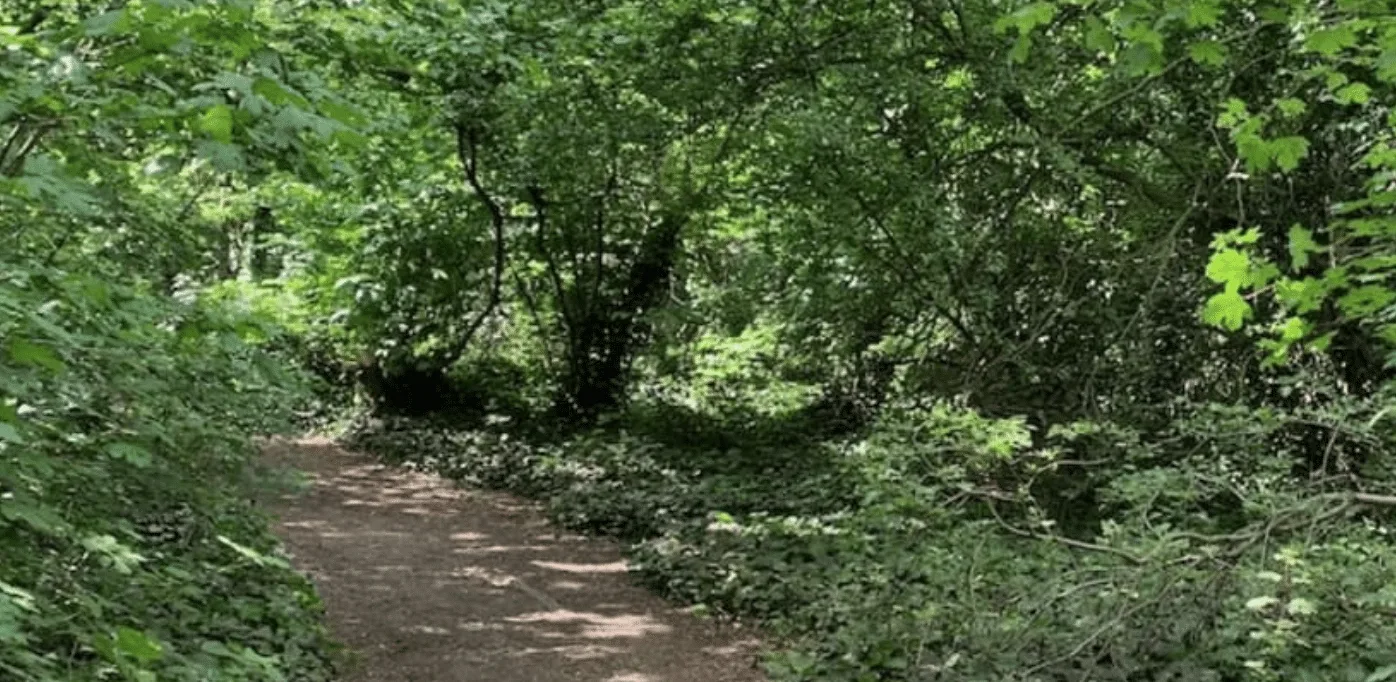 Manhunt Launched After Woman Escapes Attempted Rape in Islington’s Gillespie Park