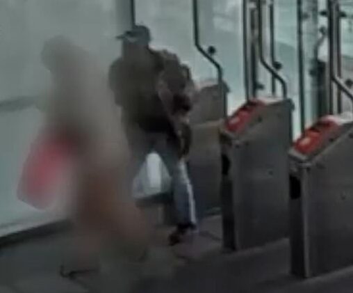 82-Year-Old Woman Brutally Beaten for Stopping Fare-Dodger in Amsterdam Metro