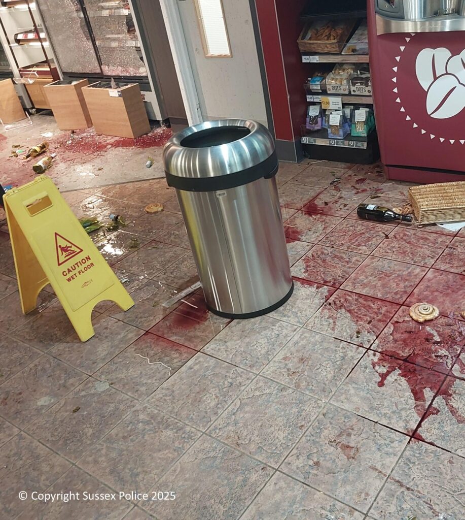 Knife-Wielding Thug Jailed for East Grinstead Rampage