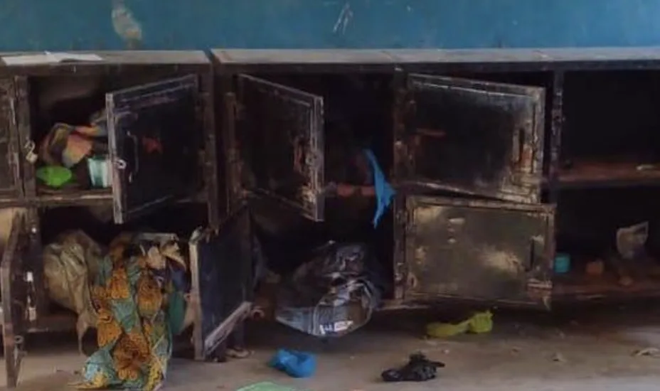 303 Pupils and 12 Staff Kidnapped in Daring Raid on Nigerian Boarding School – Nationwide Hunt Underway