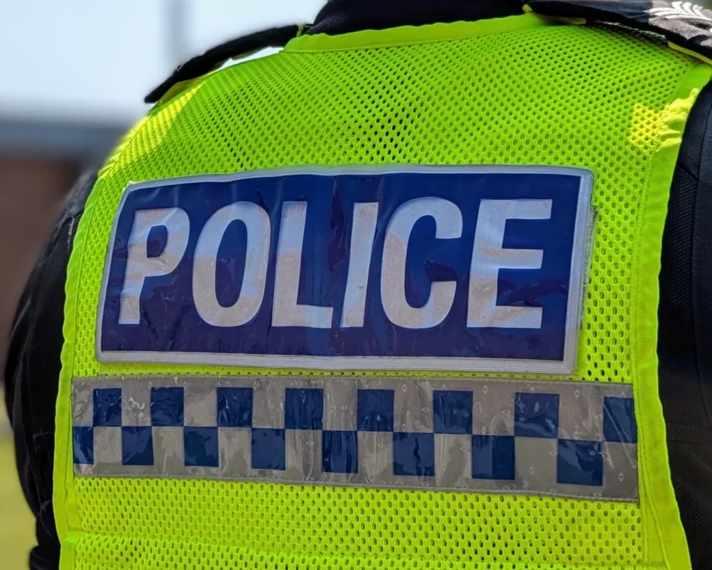 Police hunt witnesses after sheep savaged in suspected dog attack near Louth