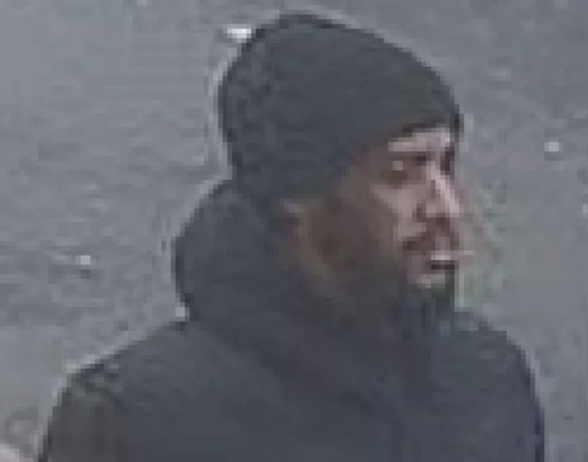 Liverpool Man Jailed 6 Weeks for Stamping Seagull to Death in Blackpool