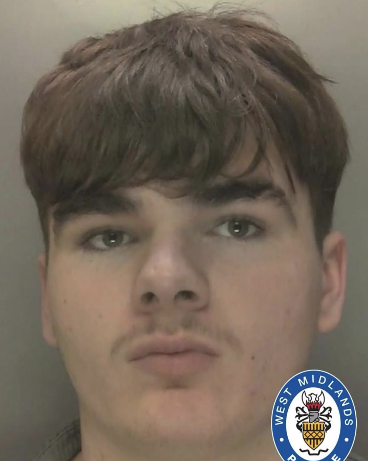 Teenager Faces Sentencing After Wild Stolen Car Chase and Fire Extinguisher Attack