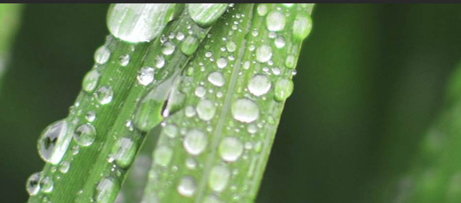 Brace Yourself: Unsettled UK Weather Hits This Weekend