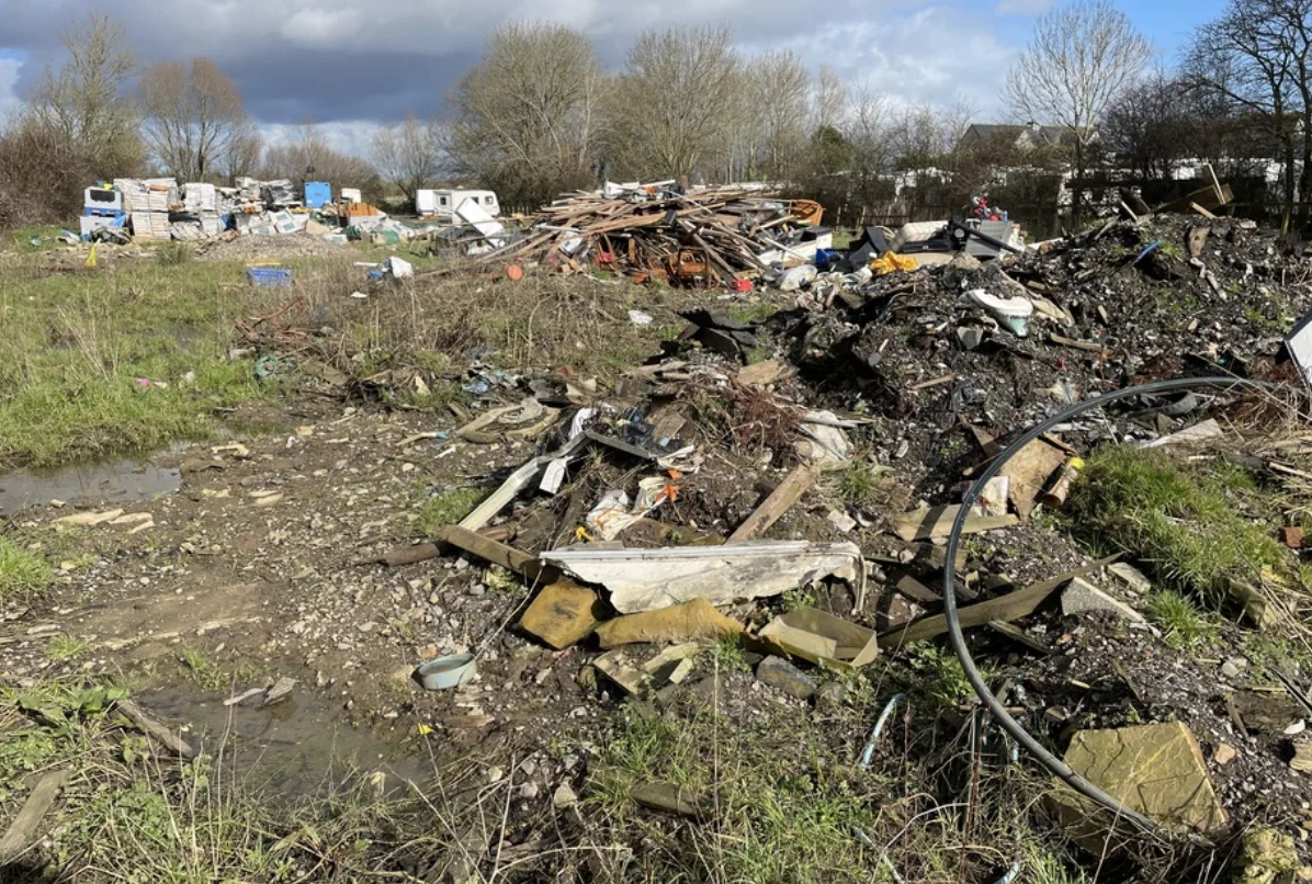 Somerset Caravan Park Owner Fined £116k for Ravaging Protected Wildlife Haven