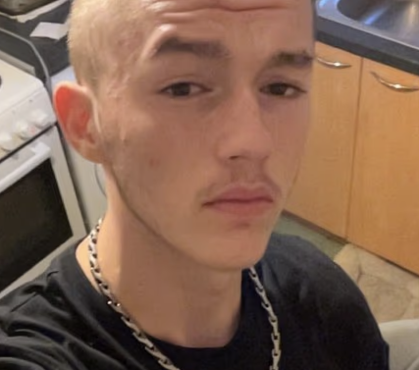 18-Year-Old Tasered by Police on M5 Before Being Fatally Hit by Car