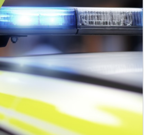 Custard Chaos! Four Arrested After Crown Jewels Custard Splash