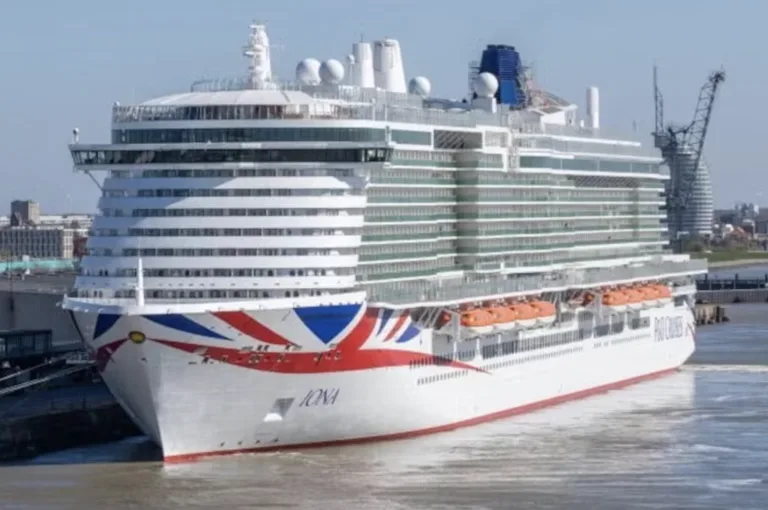 Sudanese Migrant Adam Ahmed Found Guilty of Knife Attack in Sunderland Neighborhood