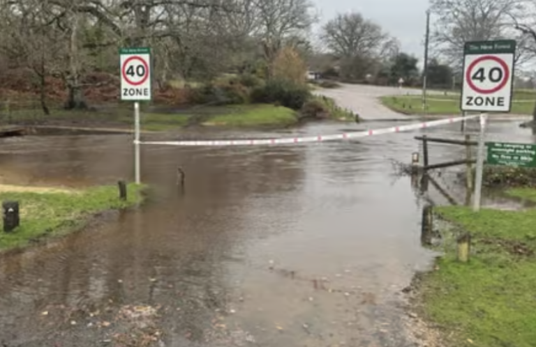 Driver Swept 50m by New Forest Floodwaters Rescued by Hero Bystander at Moyles Court Ford