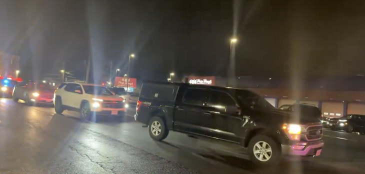 Grey Seal Pups Bounce Back at Donna Nook
