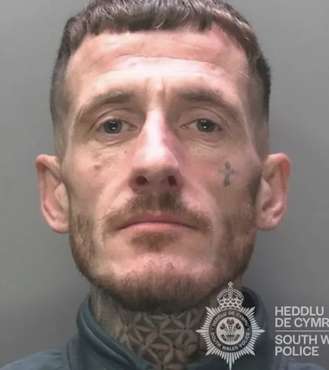 Swansea Shoplifter Jailed for Christmas After £861 Tesco Theft Spree