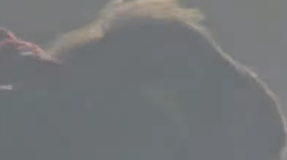 Walsall Teen Disappears on Christmas Eve – Police Plead for Help