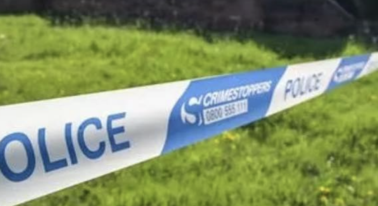 Two Teens Arrested After 15-Year-Old Schoolboy Fatally Stabbed in Guildford Woodland