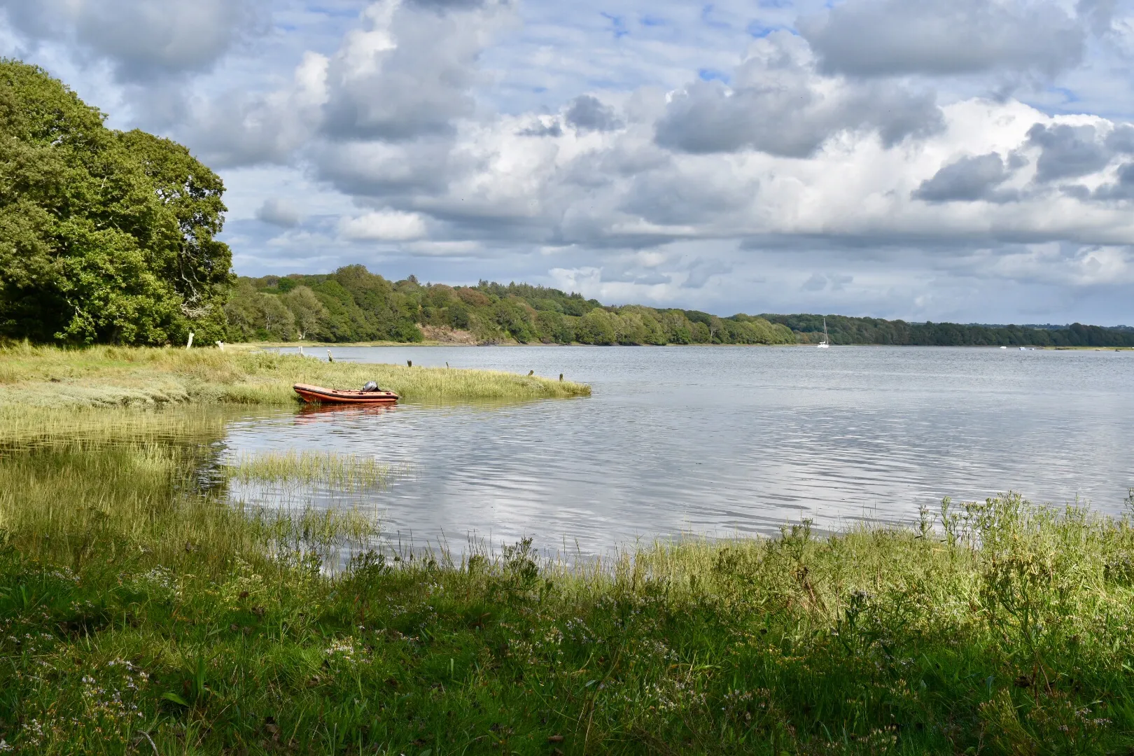 Speedboat Driver Who Hit Teen Kayaker Gets First Jail Sentence Under New Safety Law
