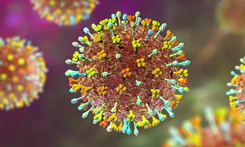 Nipah Virus Scare Sparks Covid-Style Airport Checks Across Asia as India Battles Deadly Outbreak
