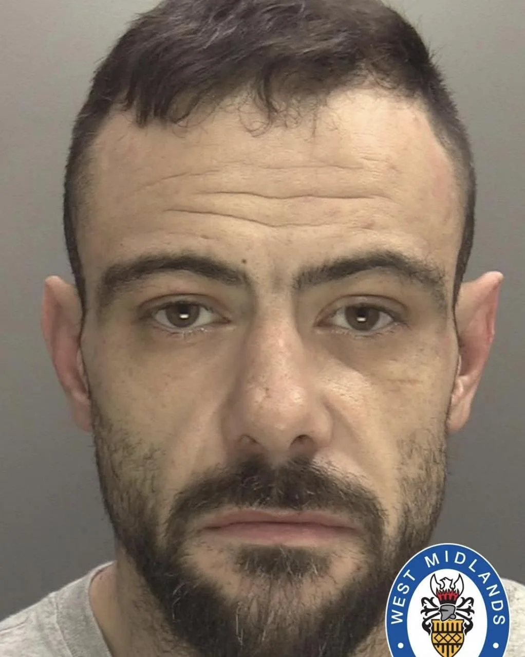 Chainsaw Chaos in Olton: Man Jailed Over Threat After Dog Attack