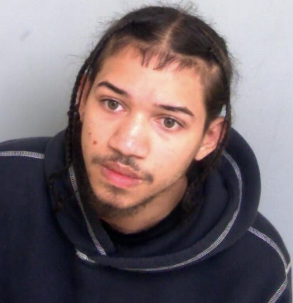 Rashid Chin-King Jailed Over Puppy Abuse and Class A Drugs