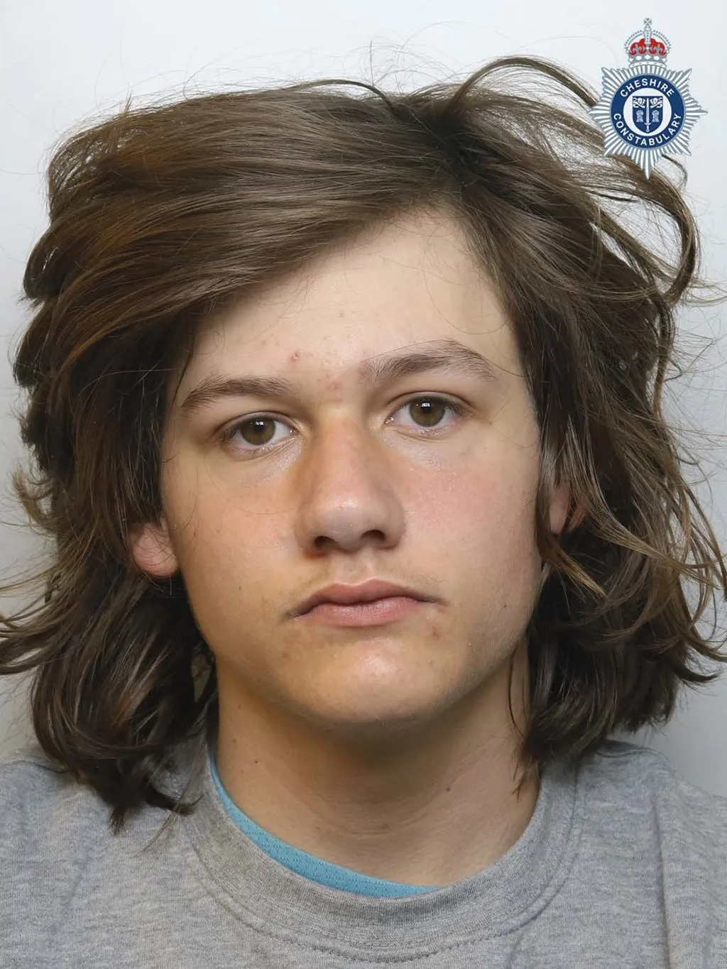 Two Teens Sentenced for Daylight Machete Assault