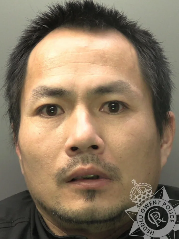 Neighbours’ Tip-off Leads to Newport Cannabis Farm Bust with 240 Plants and Jail for Grower