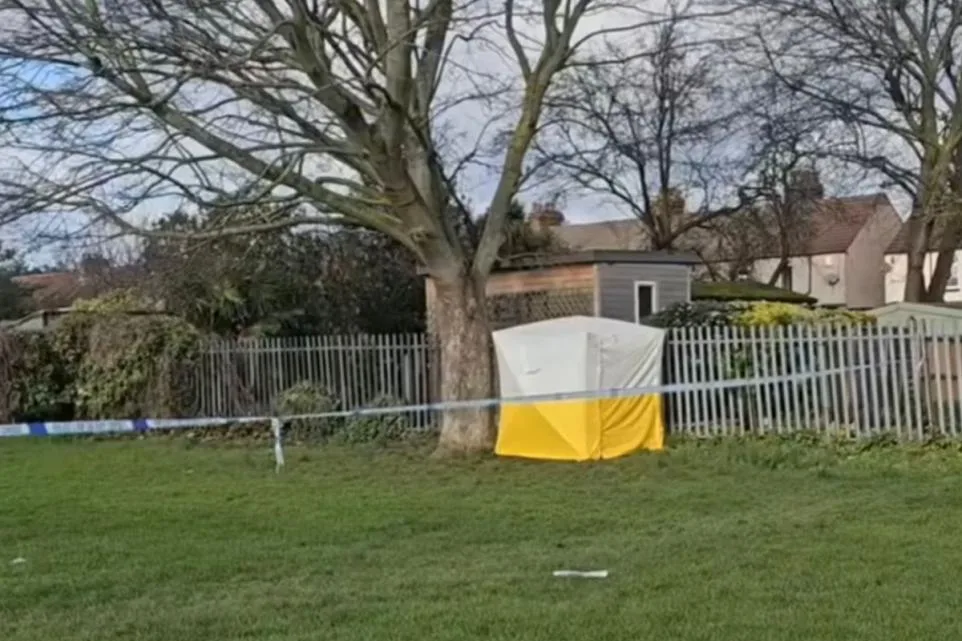Teen Arrested After Brutal Sexual Assault on Girl in Romford Park