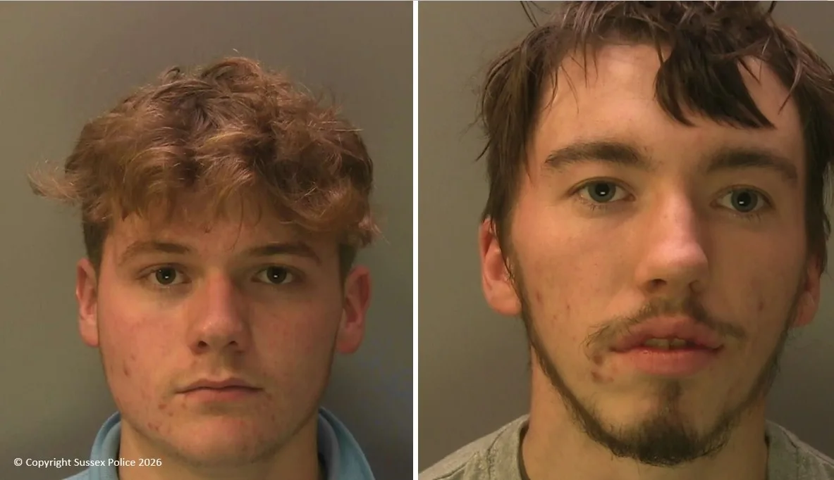 Two Men Jailed for Horrific Sheep Attack with Explosive Bangers on South Downs
