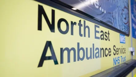 Eight Injured After Wrong-Way Audi Crashes Head-On on A1 – 37-Year-Old Driver Arrested