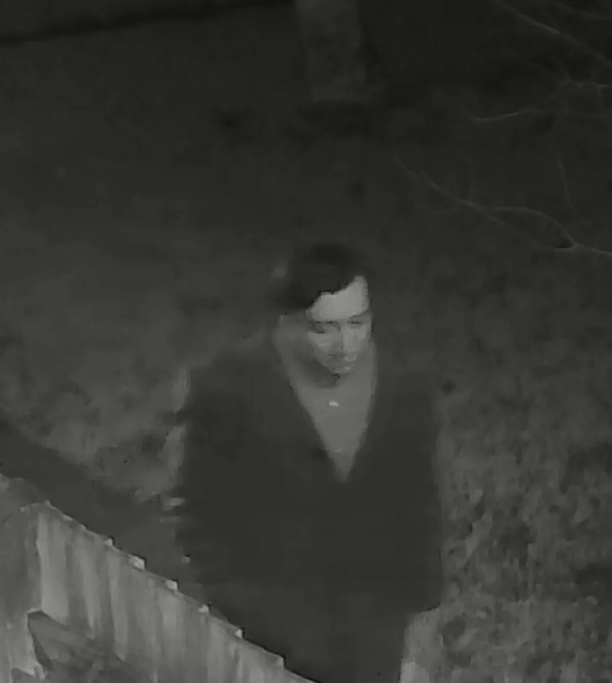 Crawley Teen Targeted in Shocking Robbery Attempt – Police Release CCTV to Track Suspect