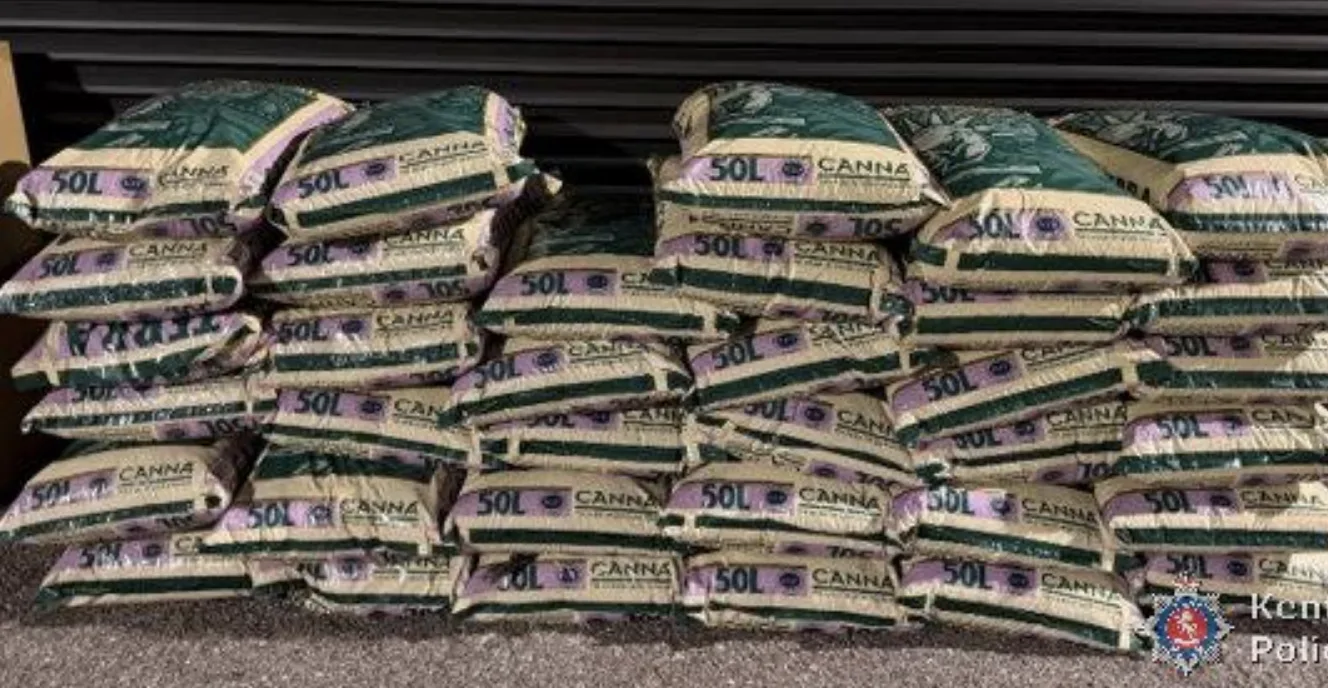 Van’s Dangerous Driving on A2 Leads to Seizure of 104 Cannabis Plants and Arrests in Gravesend