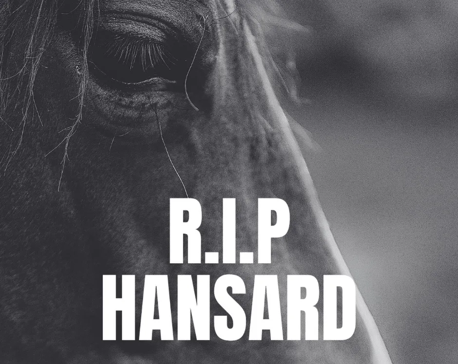 Cheltenham Tragedy: Racehorse Hansard Dies as RSPCA Warns of 20 UK Racing Deaths in 2026