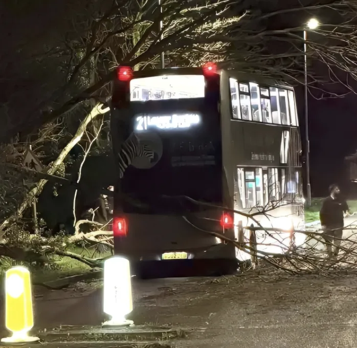 Fierce Winds Topple Tree onto Berkshire Bus, Chaos on Rushey Way Traffic