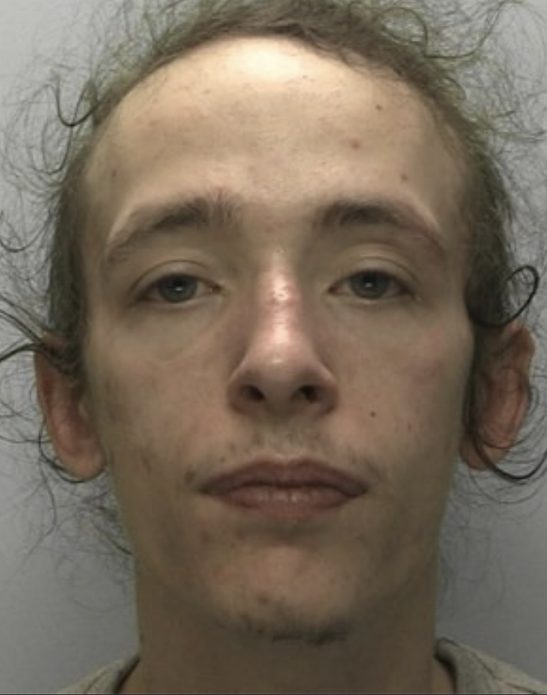 Torquay’s Ty Mayson Jailed Nearly a Year for Dangerous Driving and Axe Possession