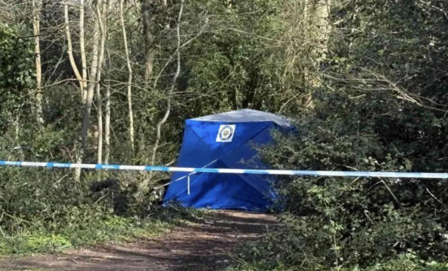 Man’s Body Stuffed in Wheelie Bin Found in Coventry Park – Police Urge Witnesses to Come Forward