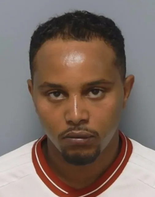 Birthday Bash Bloodshed in Portsmouth: Man Jailed Six Years for Midnight Stabbing