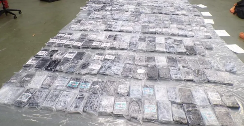 Border Force Bust £8 Million Cocaine Haul Hidden in Panama Shipment at London Gateway
