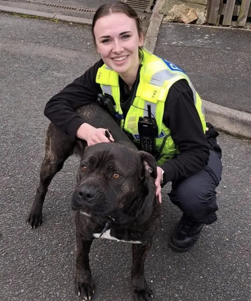 Lost Dog Sparks Police Hunt in Chatteris Before Happy Reunion with Owner