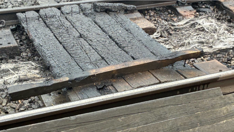 Trackside Blaze Sparks Chaos on East Kent Rail Lines