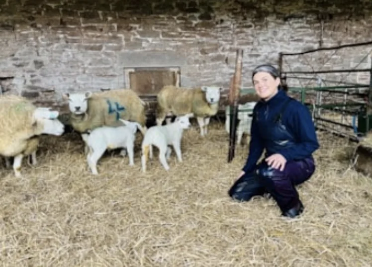 Welsh Vet Network Crushes Antibiotic Resistance with 91% Practice Uptake