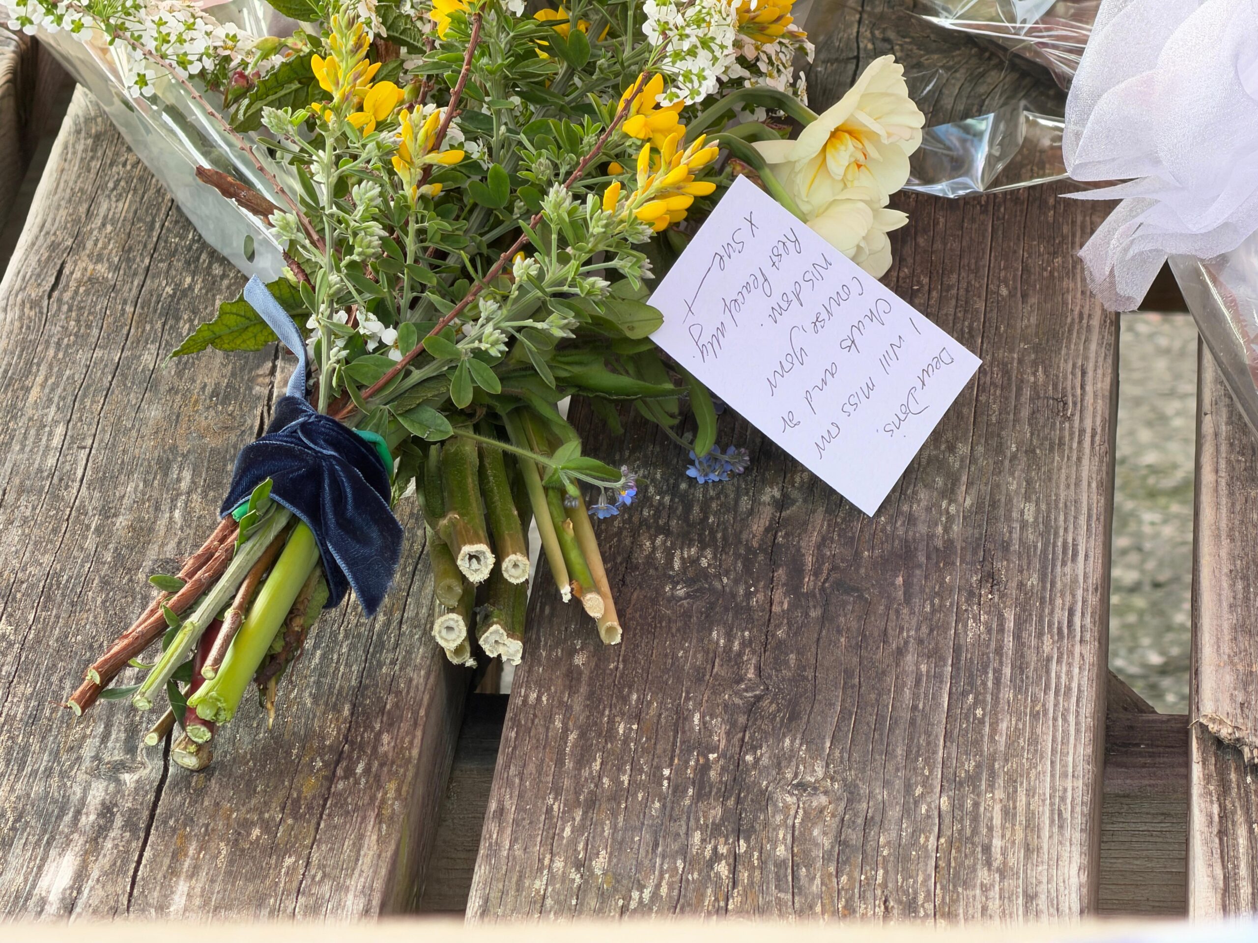 Murder Investigation Launched After Fatal Stabbing in Plumstead