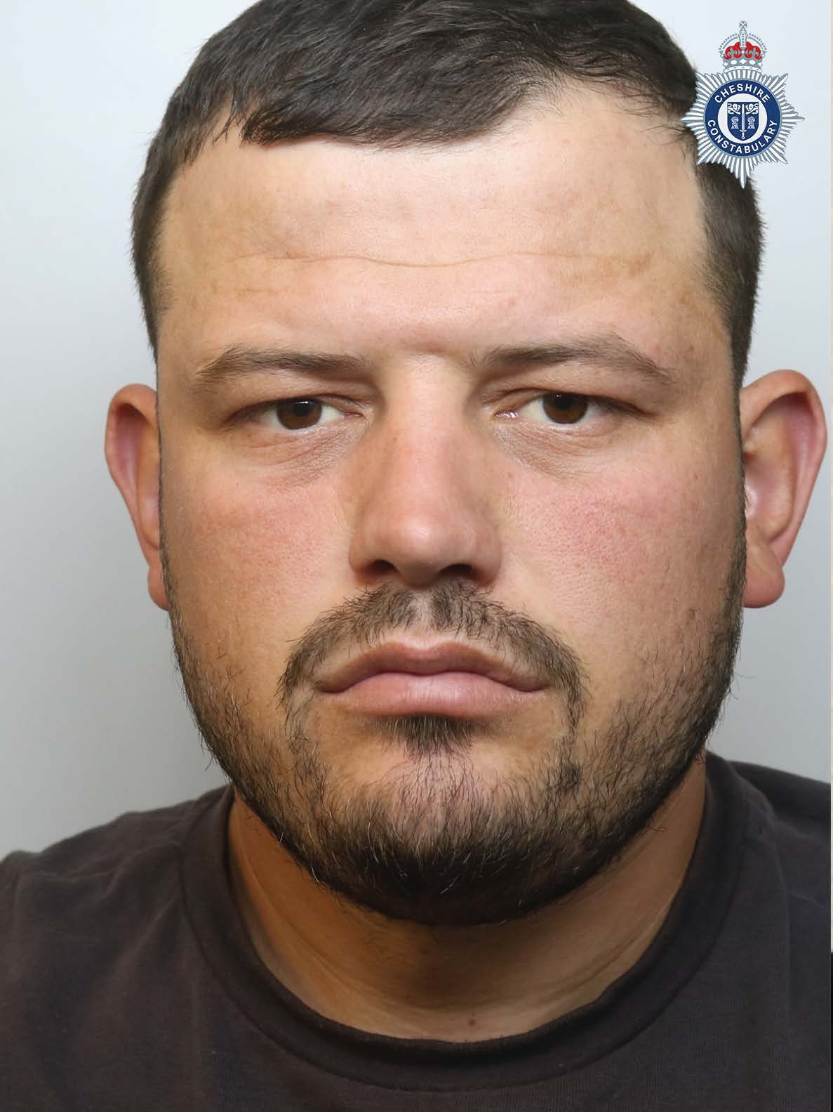 Albanian Gang and British Woman Jailed Over £1 Million Burglary Spree