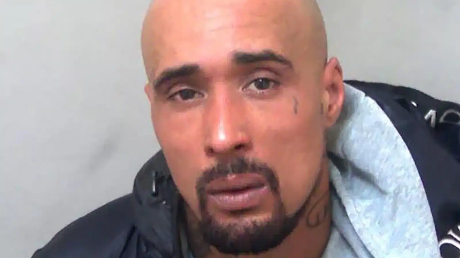 42-Year-Old Aspiring Rapper Jailed For 10 Years After XL Bully Fatally Attacked His Mum-In-Law