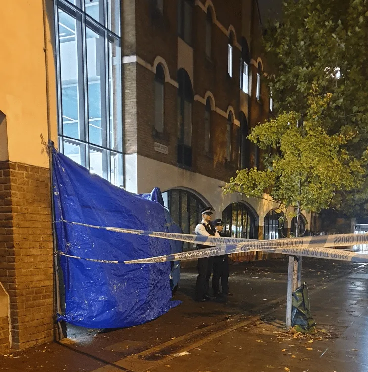 A man died in the front reception area of Stoke Newington police station after jumping off a telephone kiosk and suffering catastrophic i…