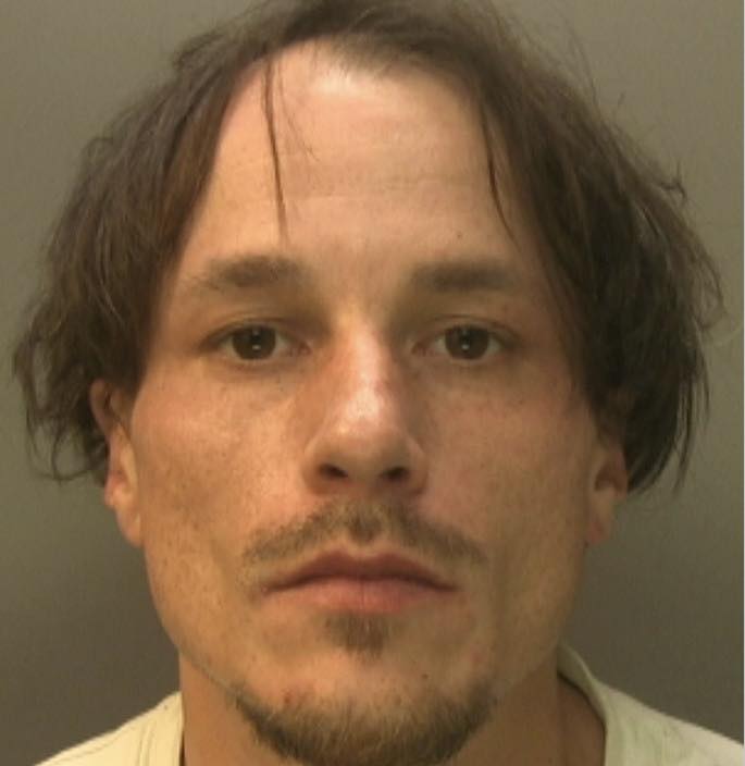 Teo Tewson-Bozic Jailed 15 Years for Teen Abuse in Sussex