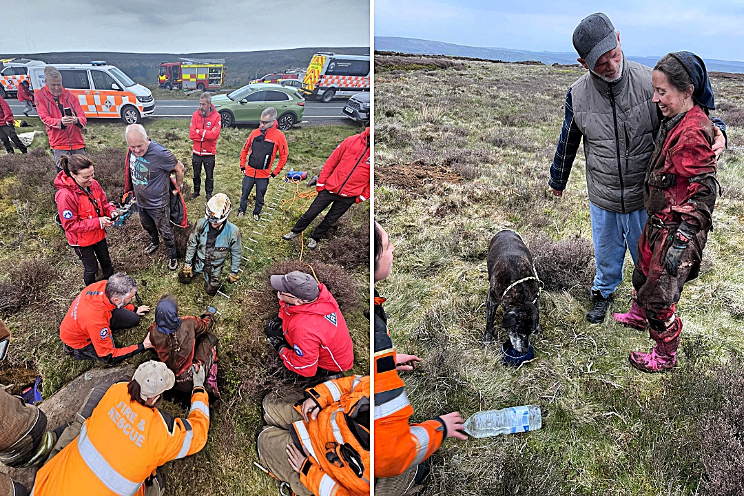 Elderly Dog Rescued After Six Hours Trapped 20ft Underground on North York Moors