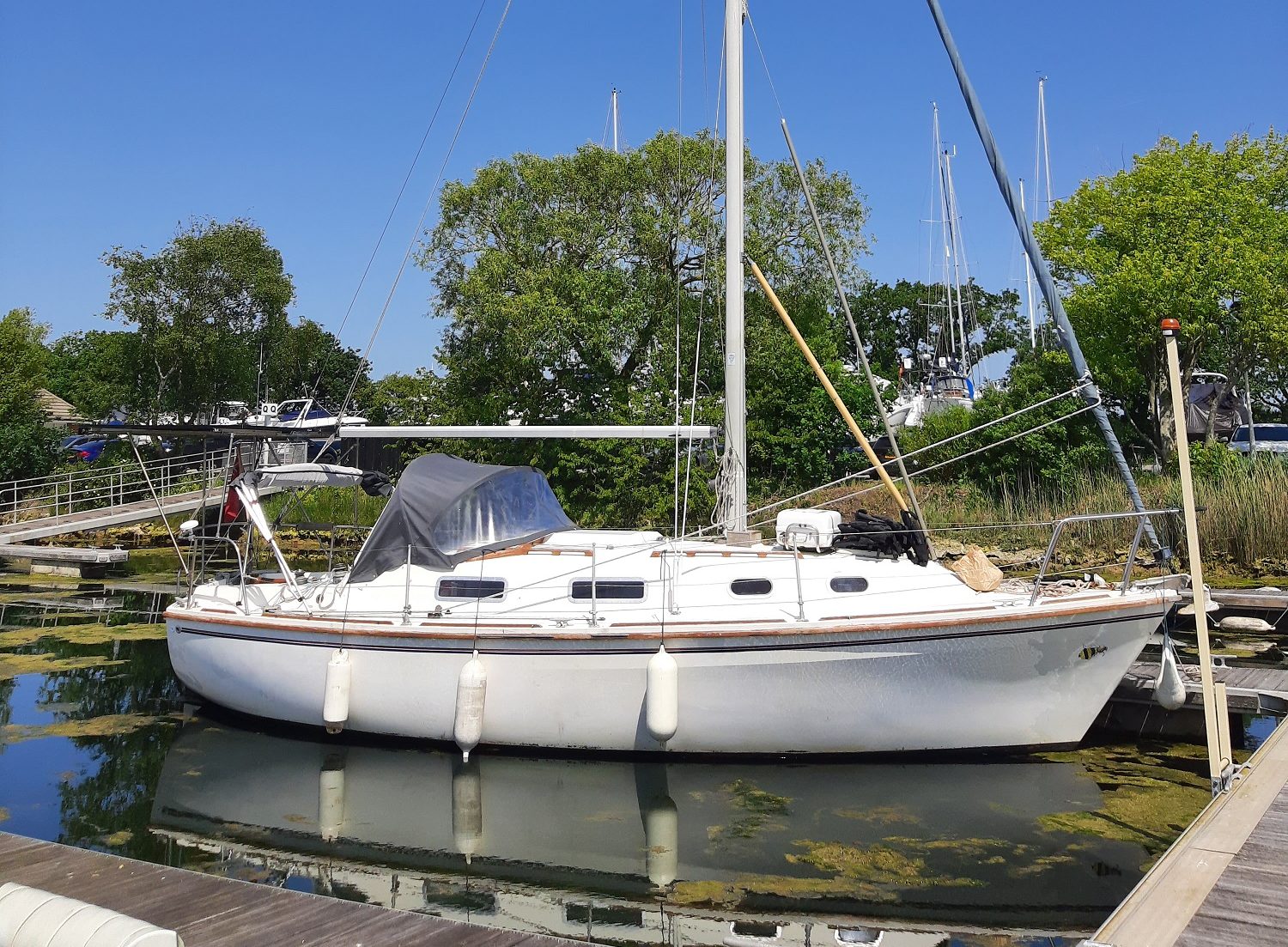 Five Arrested After Migrant Yacht Seized at Chichester Marina