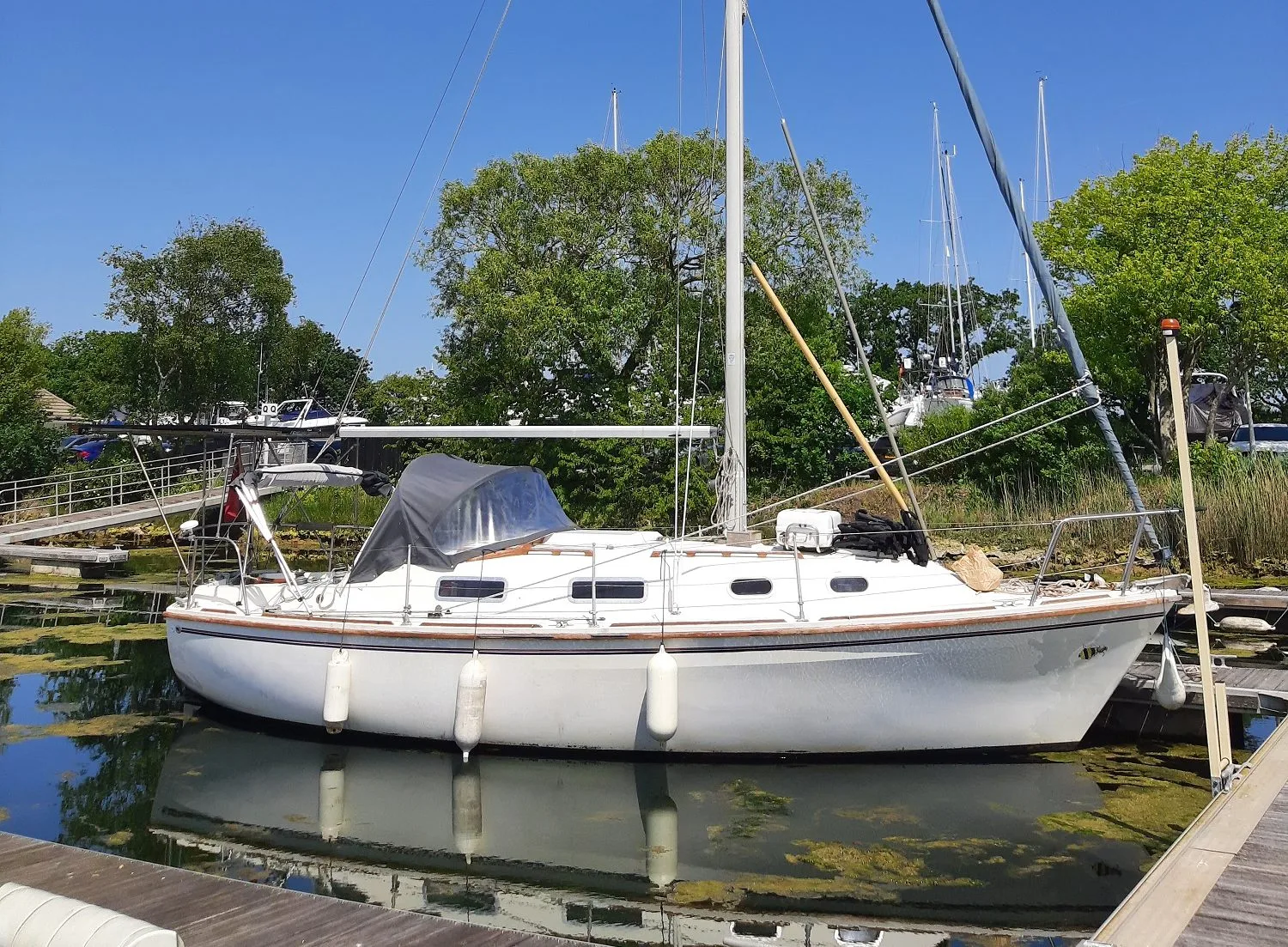 Five Arrested After Migrant Yacht Seized at Chichester Marina