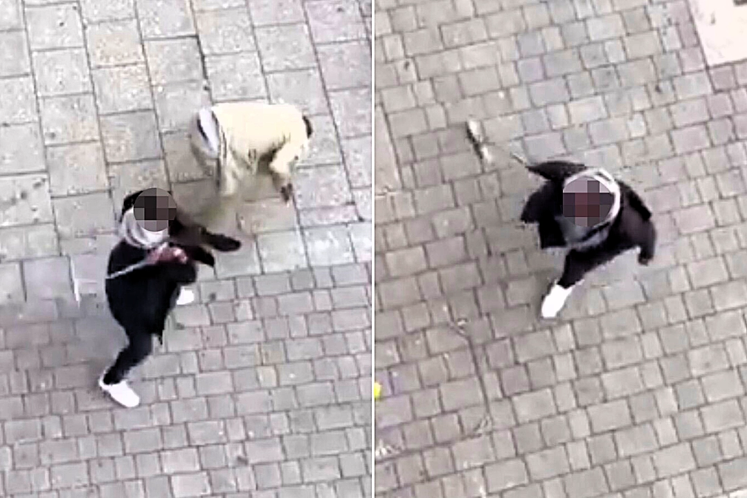 Furious woman launches BROOM attack on pedestrian