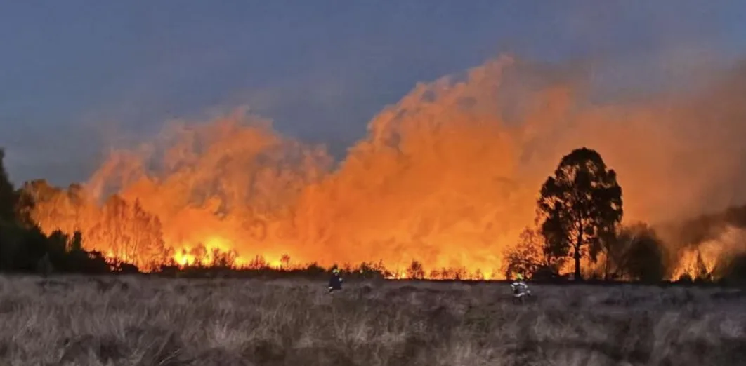 Staffordshire Firefighters Extinguish Large Wildfire on Cocknage Road