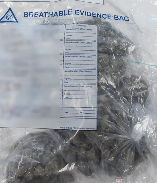 Kent Police Seize 420g Cannabis After Man Flees in Sittingbourne