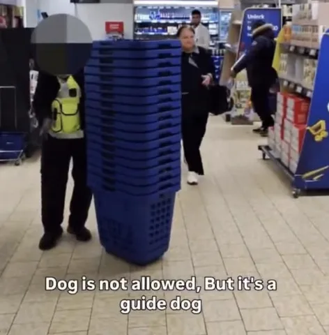 Lidl Guard Caught Trying To Remove Blind Man And Guide Dog In London Store